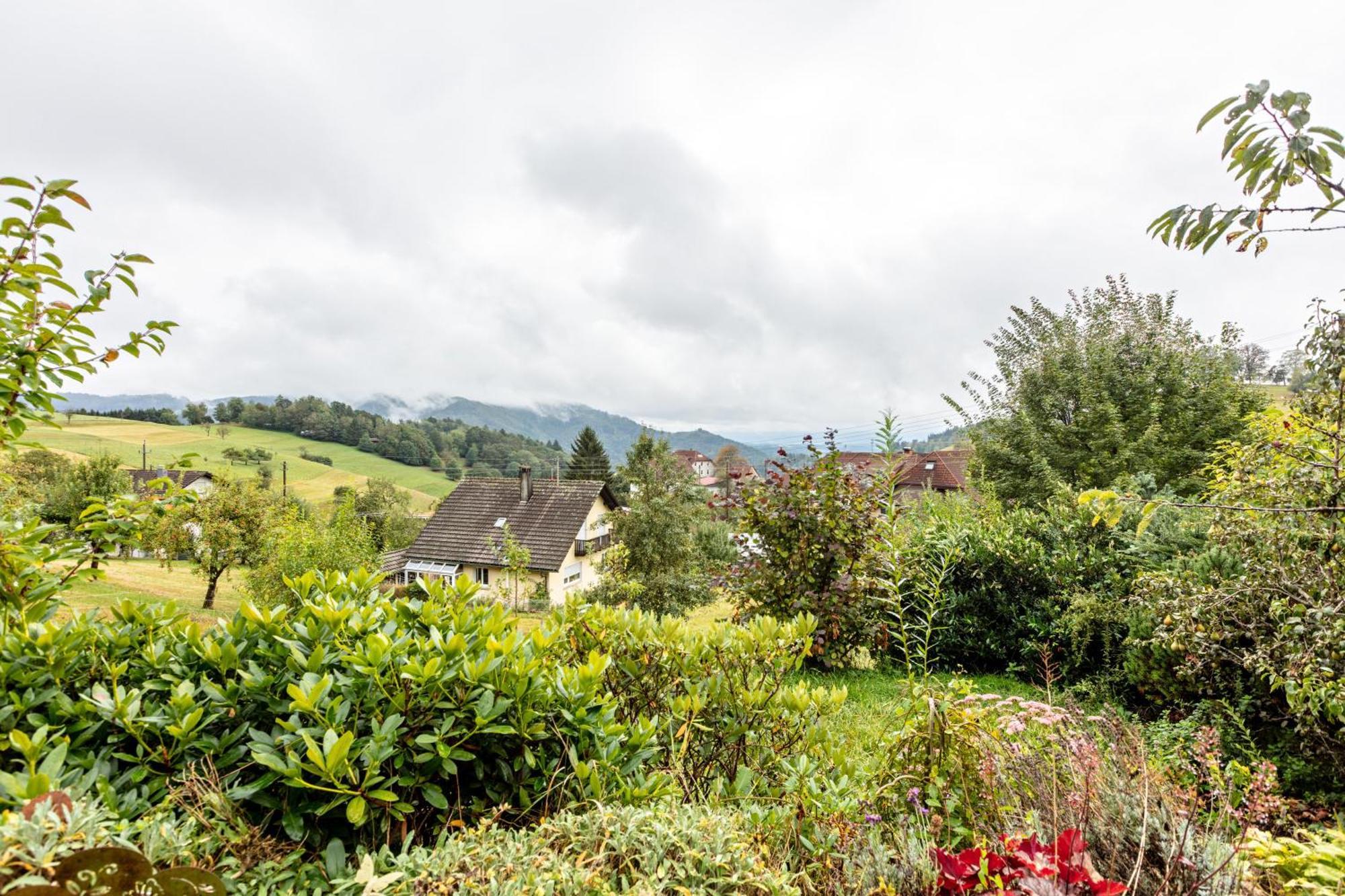 Haus Landblick Apartman Zell im Wiesenthal Kültér fotó